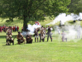Colonial troops